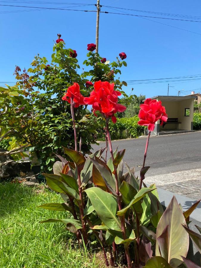Ferienwohnung Ocean Garden, 4 Units By The Ocean São Vicente Exterior foto