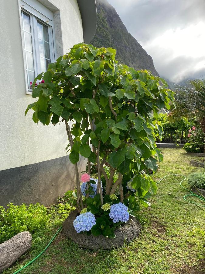 Ferienwohnung Ocean Garden, 4 Units By The Ocean São Vicente Exterior foto