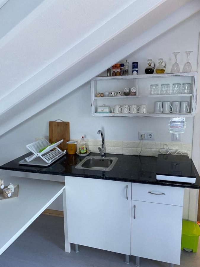 Ferienwohnung Ocean Garden, 4 Units By The Ocean São Vicente Exterior foto