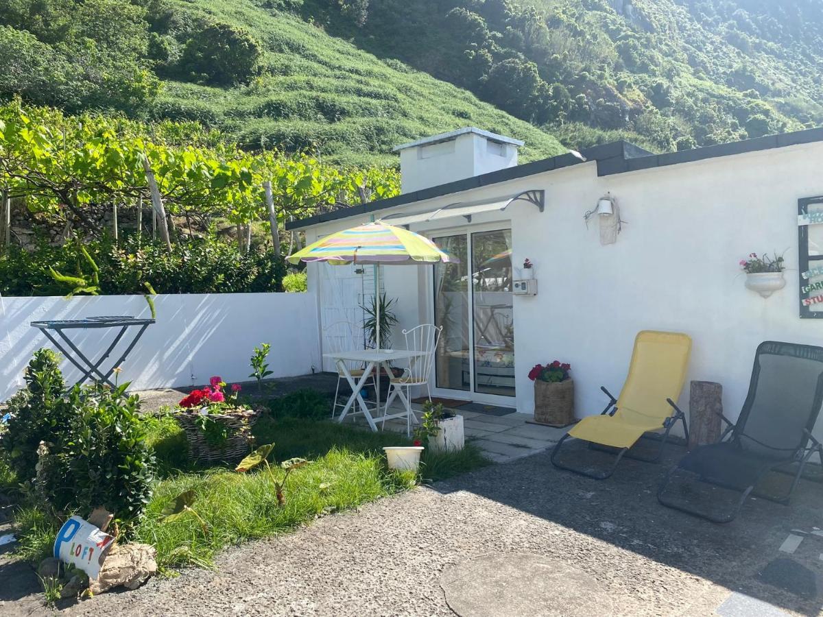 Ferienwohnung Ocean Garden, 4 Units By The Ocean São Vicente Exterior foto