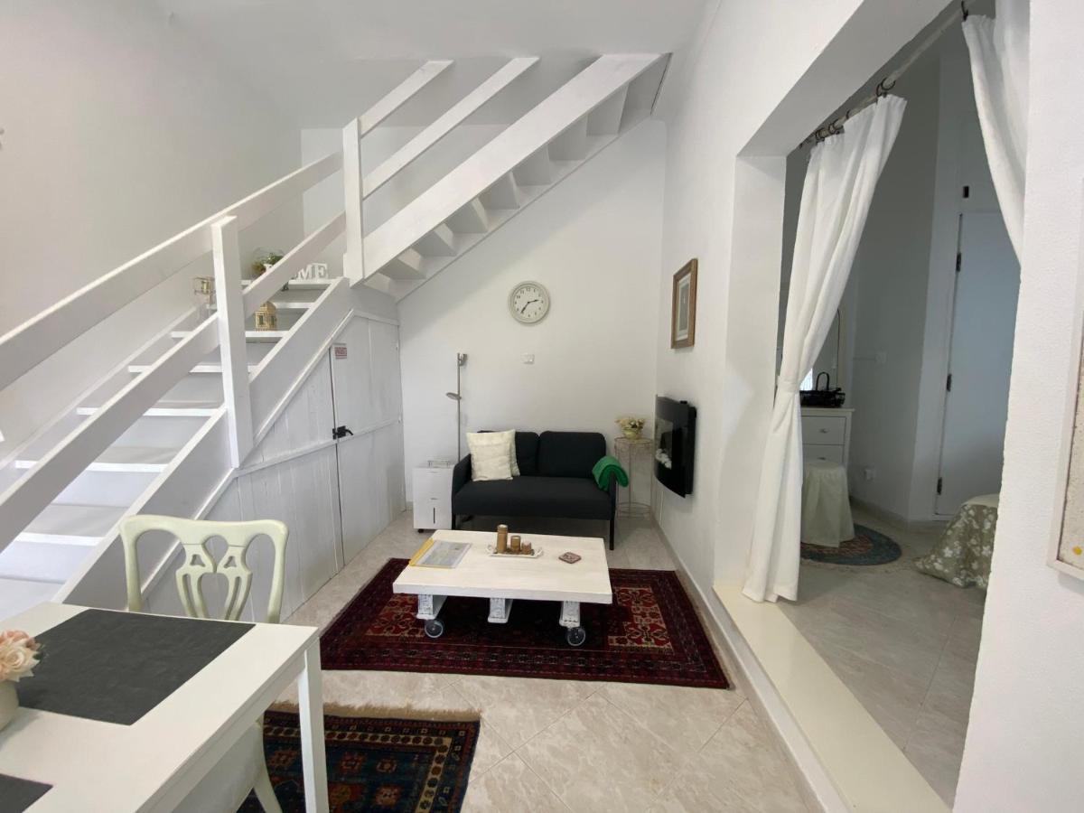 Ferienwohnung Ocean Garden, 4 Units By The Ocean São Vicente Exterior foto