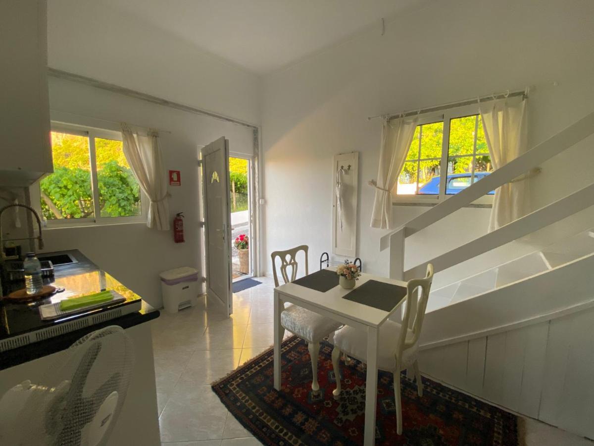 Ferienwohnung Ocean Garden, 4 Units By The Ocean São Vicente Exterior foto